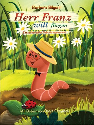 cover image of Herr Franz will fliegen